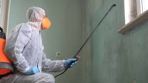 Best Asbestos and Lead Testing During Mold Inspection  in Oconomowoc, WI